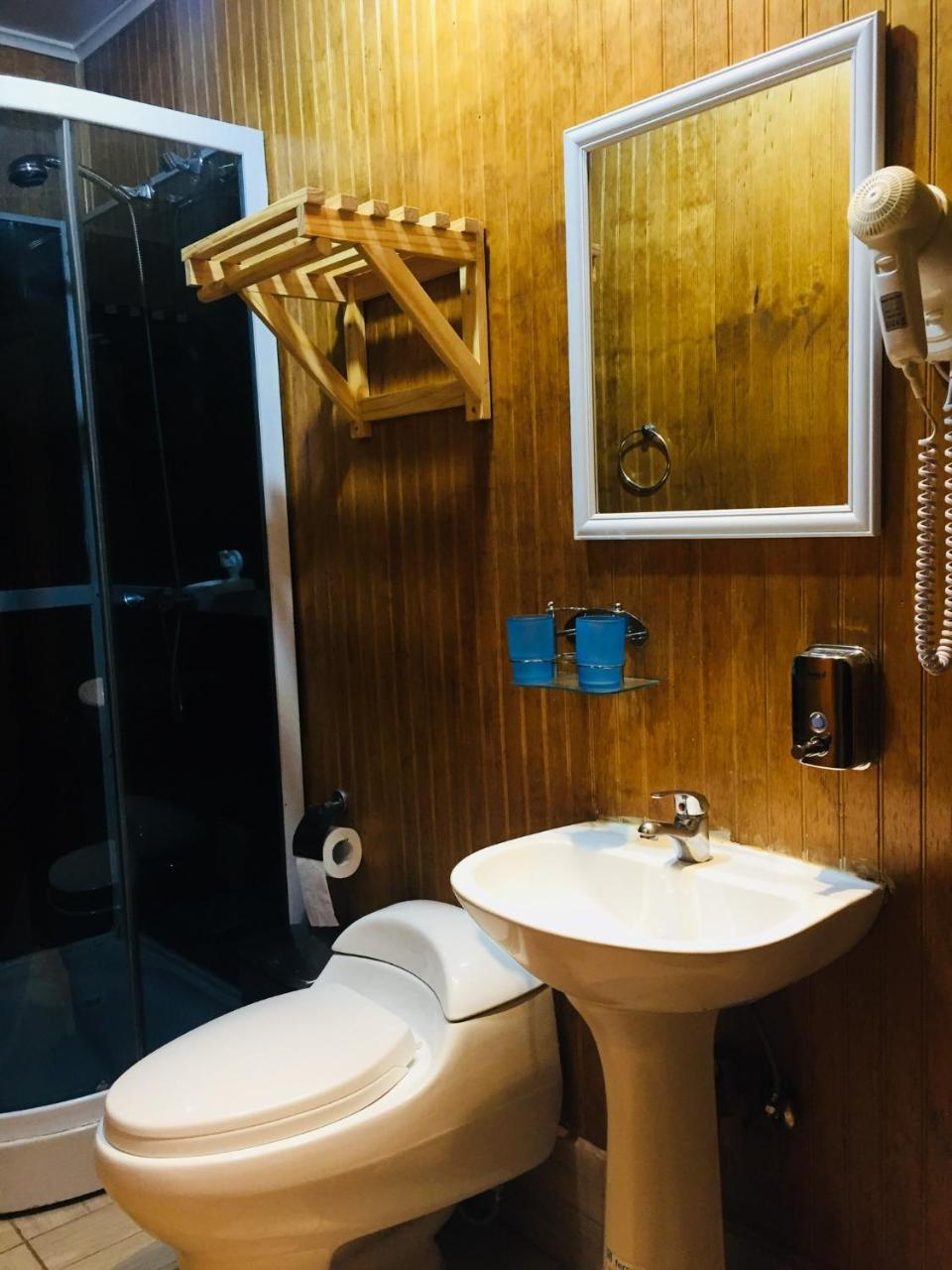 Hostal Chalet Las Violetas Punta Arenas Dış mekan fotoğraf