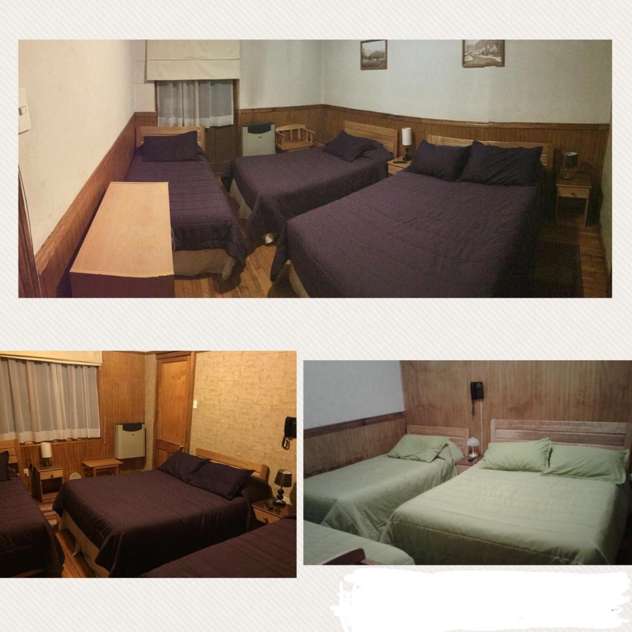 Hostal Chalet Las Violetas Punta Arenas Dış mekan fotoğraf